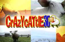 img Crazy Cattle 3D