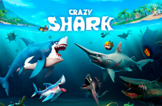 img Crazy Shark