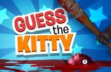 img Guess The Kitty