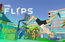 img Mr Flip