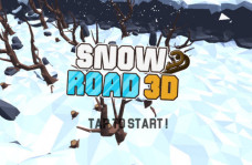 img Snow Road 3D