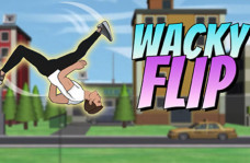 img Wacky Flip
